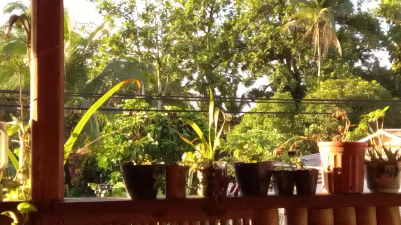 Casa Lumiere Appartement Bocas del Toro Buitenkant foto
