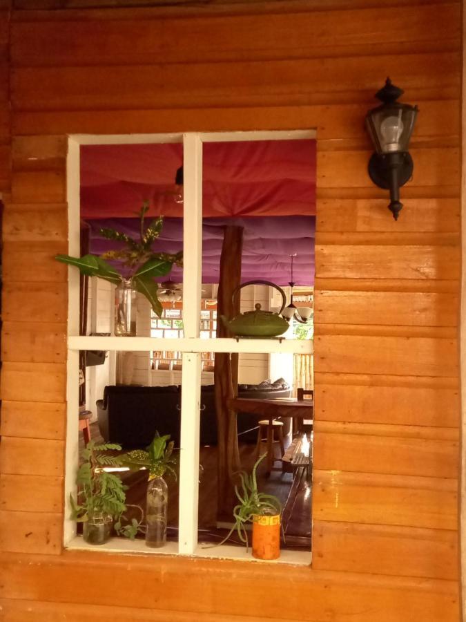 Casa Lumiere Appartement Bocas del Toro Buitenkant foto